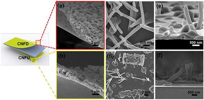 In-situ Construction of Superhydrophilic g-C3N4 Film by Vapor-Assisted Confined Deposition for Photocatalysis